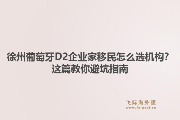 徐州葡萄牙D2企业家移民怎么选机构？这篇教你避坑指南