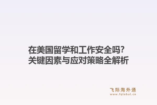 在美国留学和工作安全吗？关键因素与应对策略全解析