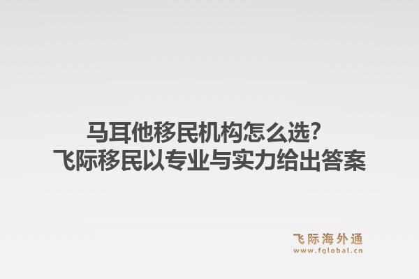 马耳他移民机构怎么选？飞际移民以专业与实力给出答案