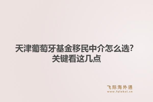 天津葡萄牙基金移民中介怎么选？关键看这几点