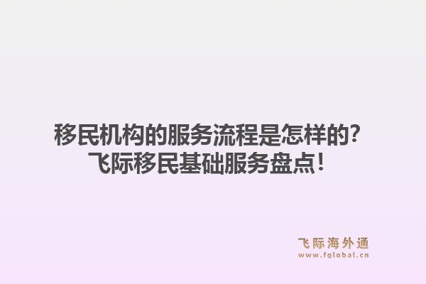 移民机构的服务流程是怎样的？飞际移民基础服务盘点！