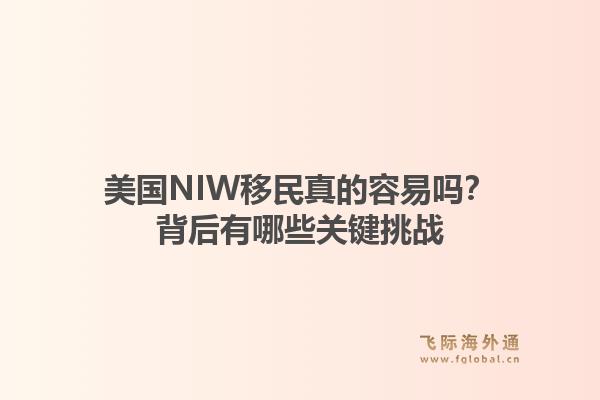 美国NIW移民真的容易吗？背后有哪些关键挑战1.jpg