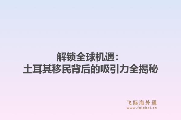 解锁全球机遇：土耳其移民背后的吸引力全揭秘
