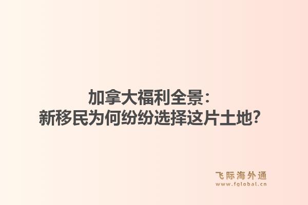 加拿大福利全景：新移民为何纷纷选择这片土地？