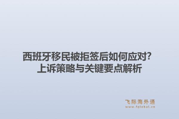 西班牙移民被拒签后如何应对？上诉策略与关键要点解析