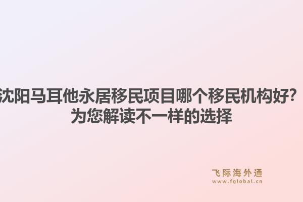 沈阳马耳他永居移民项目哪个移民机构好？为您解读不一样的选择