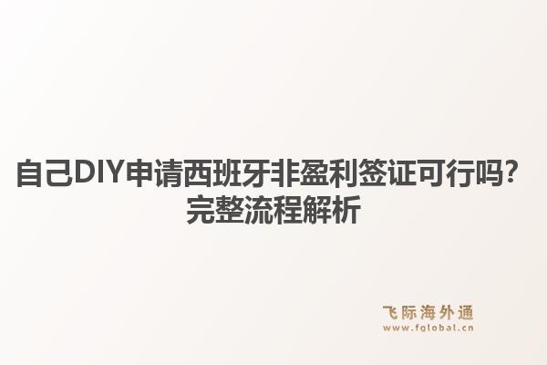 自己DIY申请西班牙非盈利签证可行吗？完整流程解析