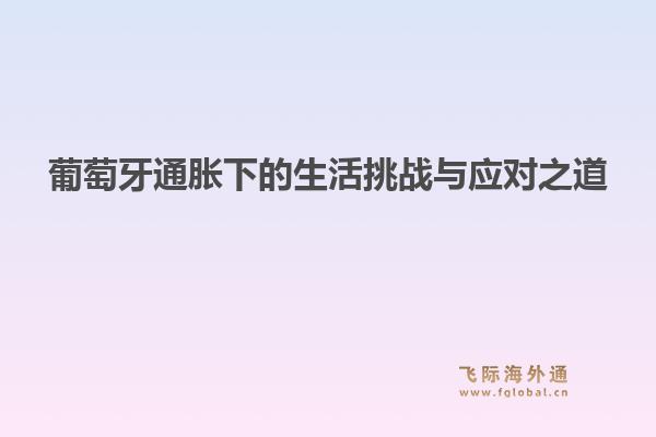 葡萄牙通胀下的生活挑战与应对之道