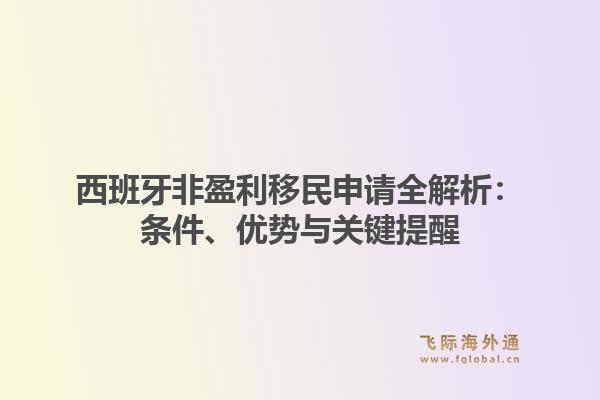 西班牙非盈利移民申请全解析：条件、优势与关键提醒