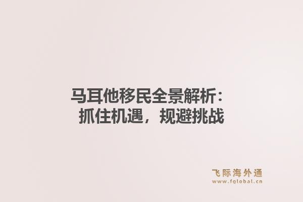 马耳他移民全景解析：抓住机遇，规避挑战