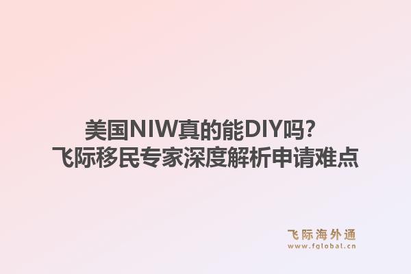 美国NIW真的能DIY吗？飞际移民专家深度解析申请难点