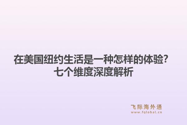 在美国纽约生活是一种怎样的体验？七个维度深度解析