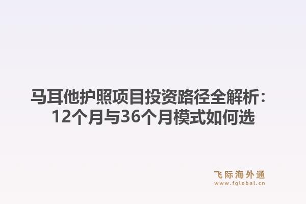 马耳他护照项目投资路径全解析：12个月与36个月模式如何选