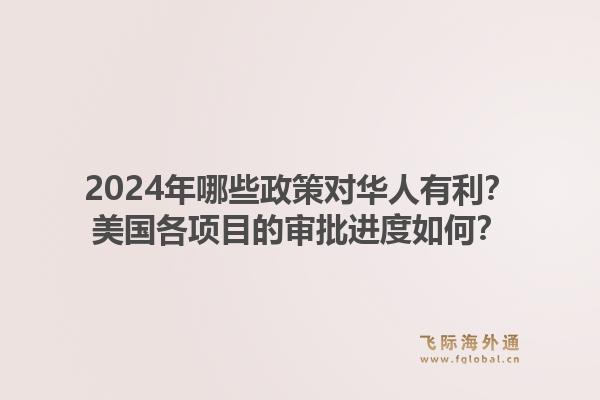 2024年哪些政策对华人有利？美国各项目的审批进度如何？