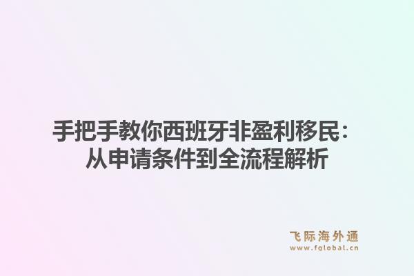 手把手教你西班牙非盈利移民：从申请条件到全流程解析
