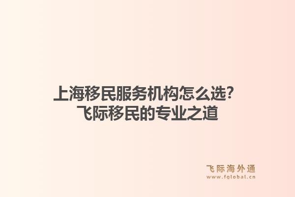 上海移民服务机构怎么选？飞际移民的专业之道