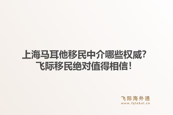 上海马耳他移民中介哪些权威？飞际移民绝对值得相信！