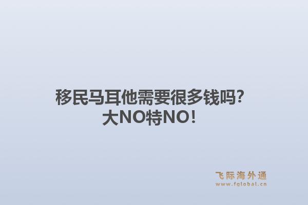 移民马耳他需要很多钱吗？大NO特NO！