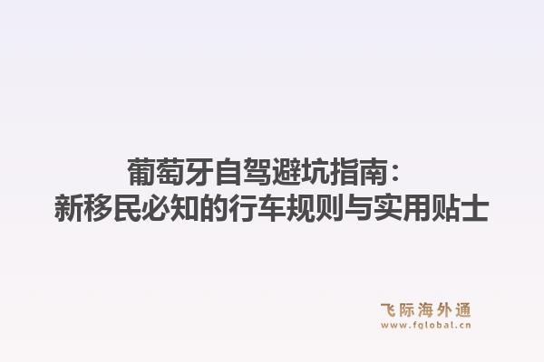 葡萄牙自驾避坑指南：新移民必知的行车规则与实用贴士