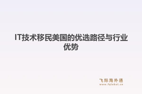 IT技术移民美国的优选路径与行业优势1.jpg