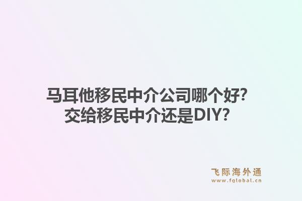 马耳他移民中介公司哪个好？交给移民中介还是DIY？
