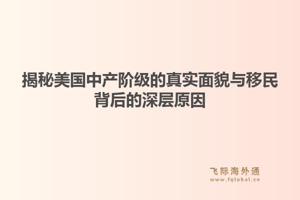 揭秘美国中产阶级的真实面貌与移民背后的深层原因