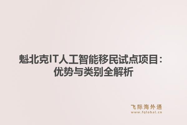魁北克IT人工智能移民试点项目：优势与类别全解析