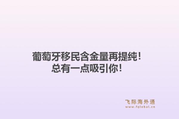 葡萄牙移民含金量再提纯！总有一点吸引你！