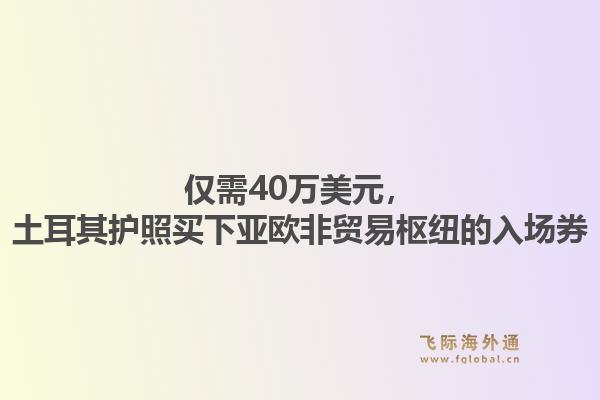 仅需40万美元，土耳其护照买下亚欧非贸易枢纽的入场券