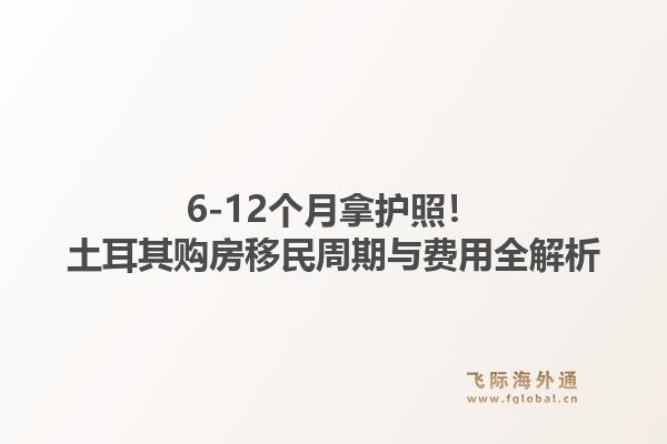 6-12个月拿护照！土耳其购房移民周期与费用全解析