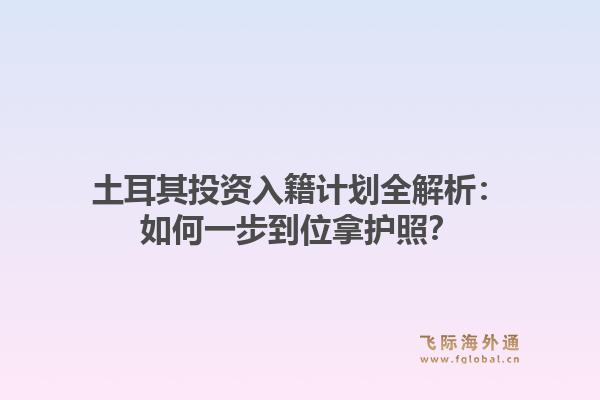 土耳其投资入籍计划全解析：如何一步到位拿护照？