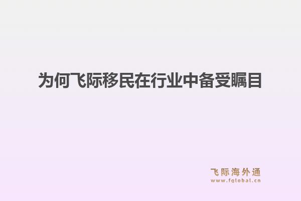 为何飞际移民在行业中备受瞩目