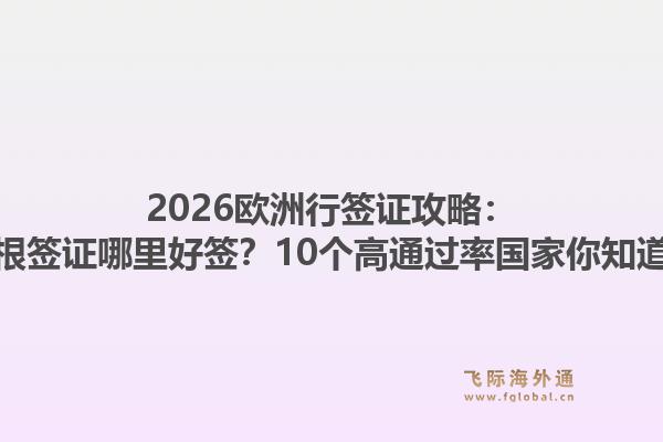 2026欧洲行签证攻略：申根签证哪里好签？10个高通过率国家你知道吗