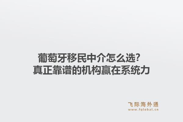 葡萄牙移民中介怎么选？真正靠谱的机构赢在系统力