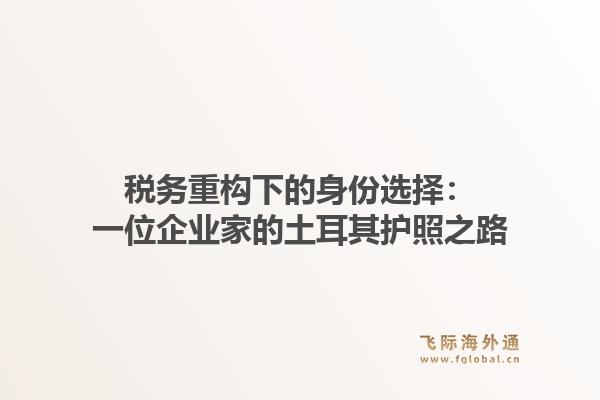 税务重构下的身份选择：一位企业家的土耳其护照之路