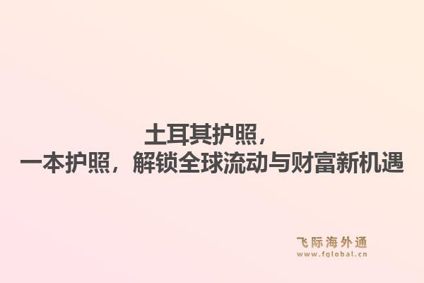 土耳其护照，一本护照，解锁全球流动与财富新机遇