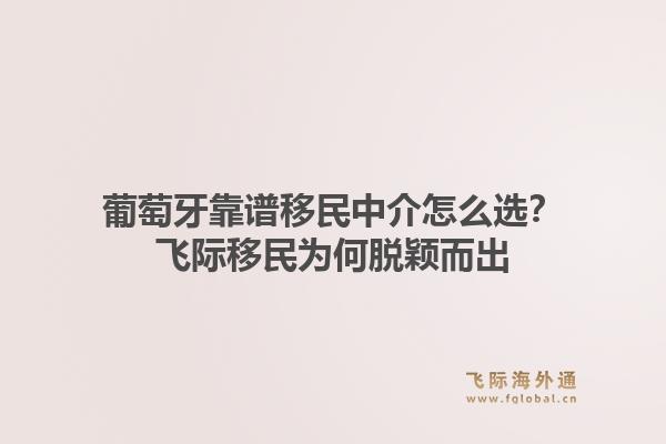 葡萄牙靠谱移民中介怎么选？飞际移民为何脱颖而出